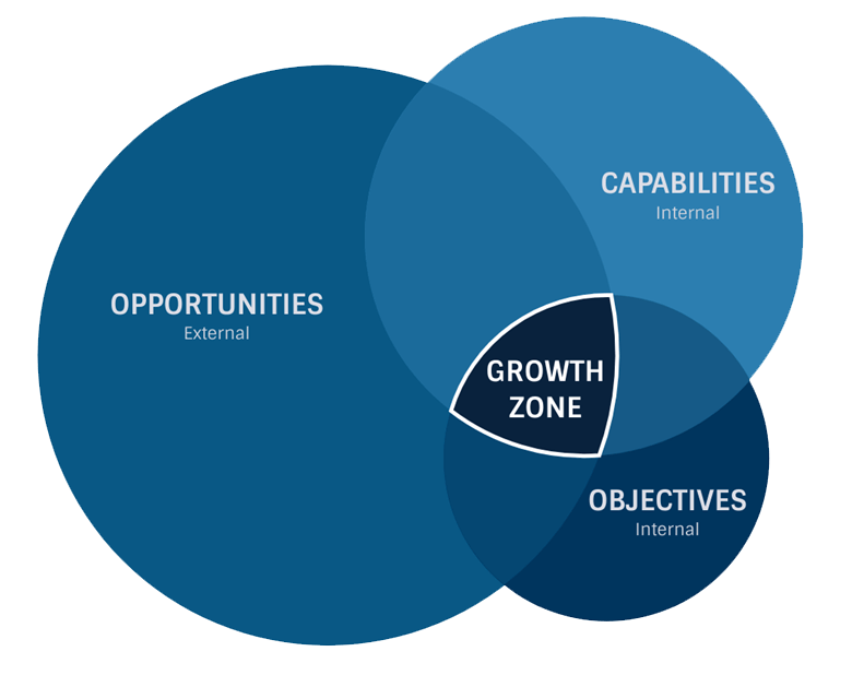 growth opportunities model