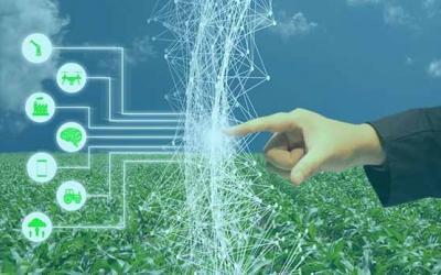 Frost & Sullivan Applauds Hortau for Its Novel Sensor-Based Smart Irrigation Technology